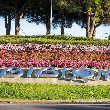 Lovely Close To Apartment
