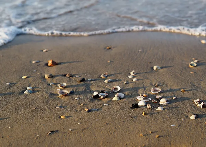 Lovely With Two Fenced Garden 아파트 비비오네
